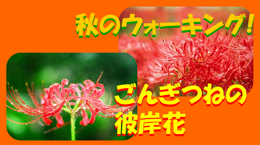 キャプチャ　彼岸花