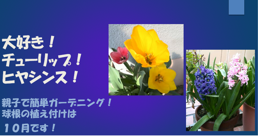 キャプチャ　チューリップ　ヒヤシンス　文字分修正