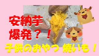 焼き芋に合うさつまいもの選び方！甘くなる理由と安納芋紅あずま食べ比べ体験レポート！のイメージ画像