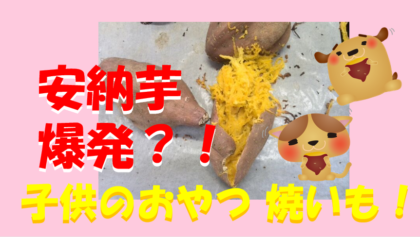 焼き芋に合うさつまいもの選び方！甘くなる理由と安納芋紅あずま食べ比べ体験レポート！のイメージ画像
