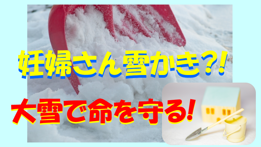 キャプチャ 雪かき