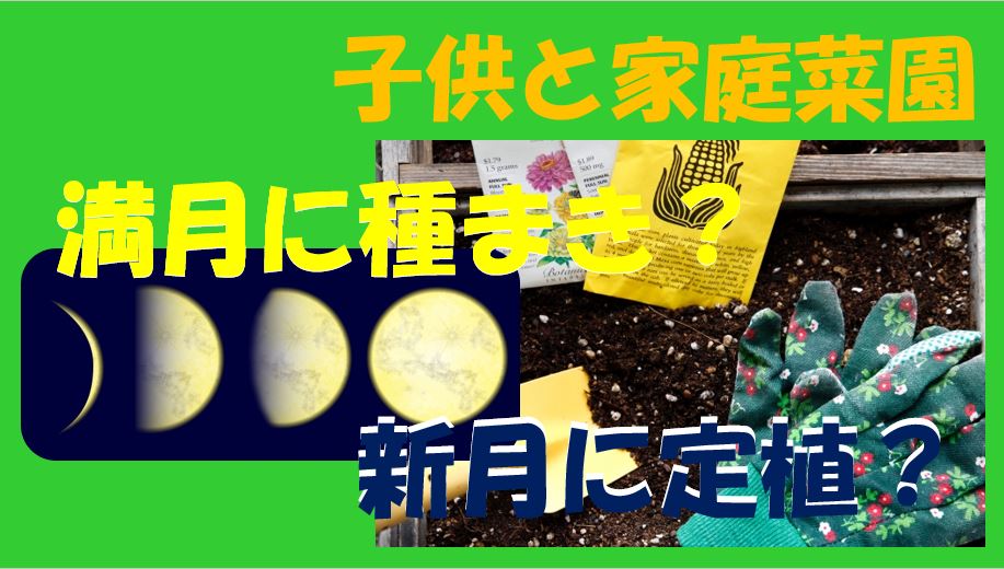 キャプチャ　満月新月　種まき　定植