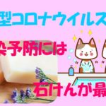 新型コロナウィルス　石けん