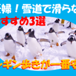 妊娠中　雪道　滑らない靴