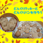 どんくりをどんぐりに直したアイキャッチ画像