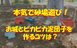 本気で砂場遊び！大人が作るお城とピカピカ泥団子を作るコツも紹介！のイメージ画像