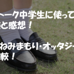 Botトーク中学生に使ってみた体験と感想！みてねみまもり・オッタジーとも比較！のイメージ画像