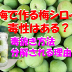青梅で作る梅シロップに毒性はある？毒抜き方法や分解される理由についても解説！のイメージ画像