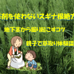 除草剤を使わないスギナ根絶方法とは？地下茎から掘り起こすコツや親子で草取りした体験談も！のイメージ画像