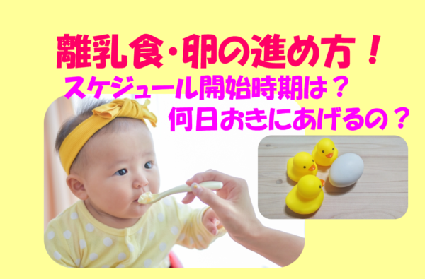 【2024年最新】離乳食・卵の進め方！スケジュール開始時期や何日おきにあげるか体験談をもとに解説！のイメージ画像
